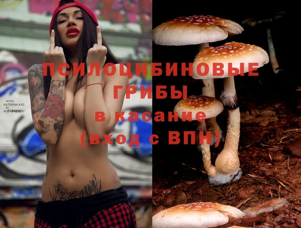 мяу мяу мука Волосово