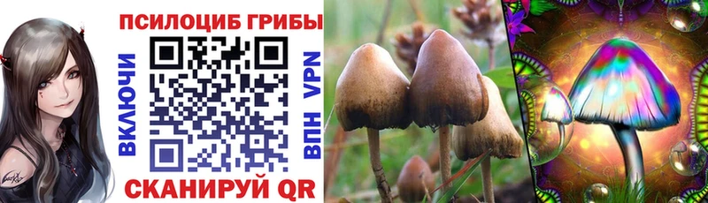 Галлюциногенные грибы Magic Shrooms  Владивосток 